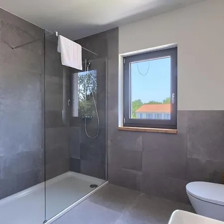 Modern Pinca With Pool And Grill In Vizinada Villa