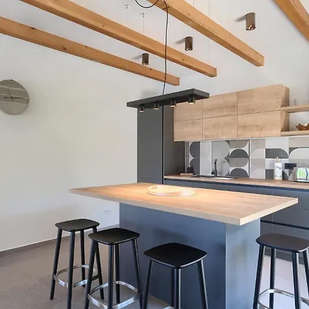 Modern Pinca With Pool&grill In Vizinada Villa *